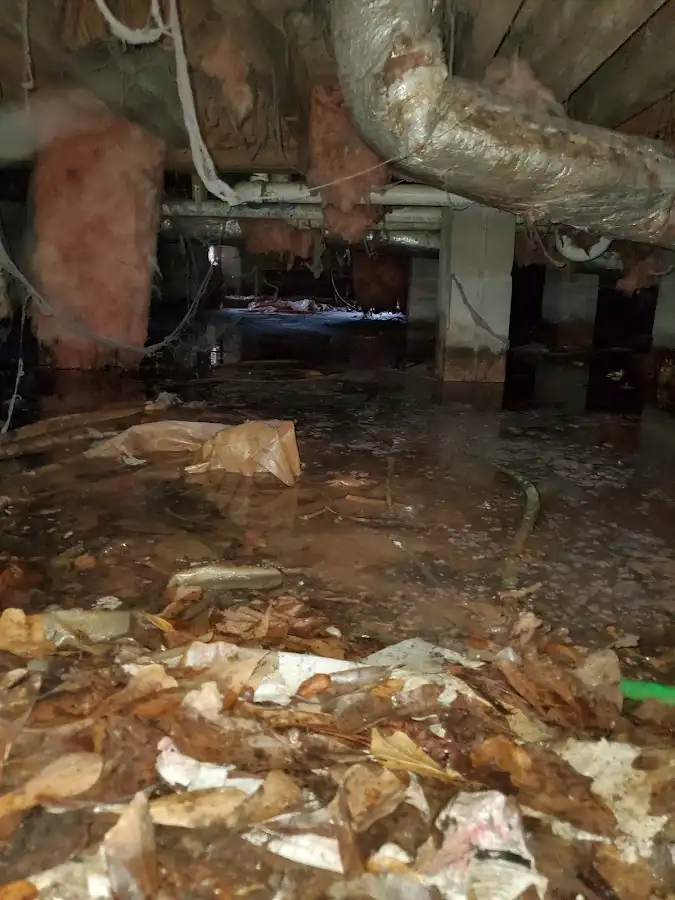 Crawl space flood assessment for Leak Detection & Repair in Dunlap